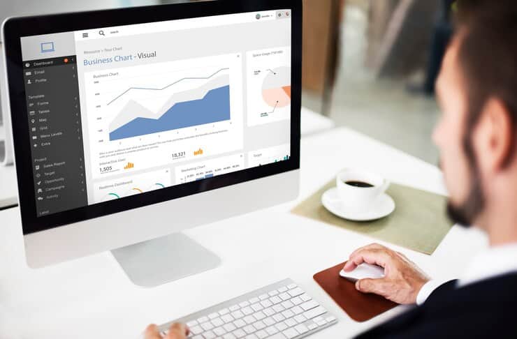 Business Chart Visual on Wordpress