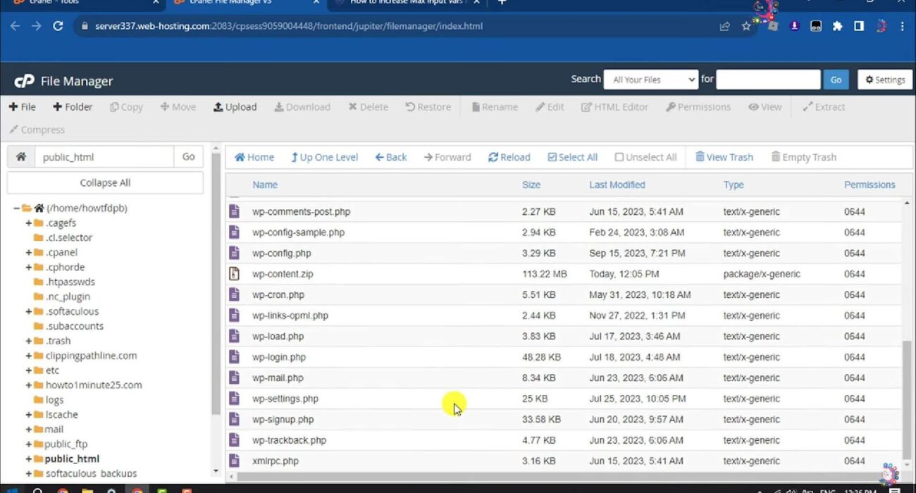 Enhancing WordPress Performance with PHP Max Input Variables